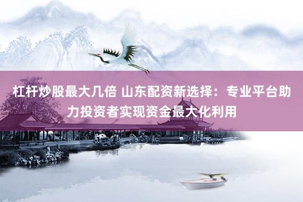 杠杆炒股最大几倍 山东配资新选择：专业平台助力投资者实现资金最大化利用