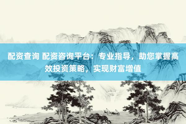 配资查询 配资咨询平台：专业指导，助您掌握高效投资策略，实现财富增值