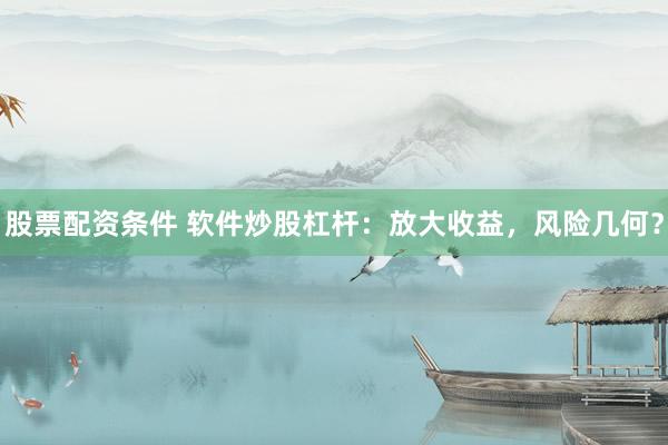股票配资条件 软件炒股杠杆：放大收益，风险几何？