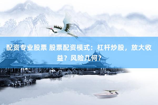 配资专业股票 股票配资模式：杠杆炒股，放大收益？风险几何？
