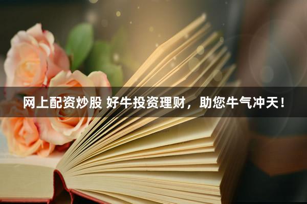 网上配资炒股 好牛投资理财，助您牛气冲天！