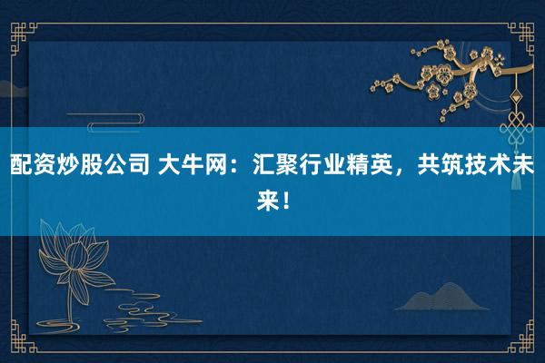 配资炒股公司 大牛网：汇聚行业精英，共筑技术未来！