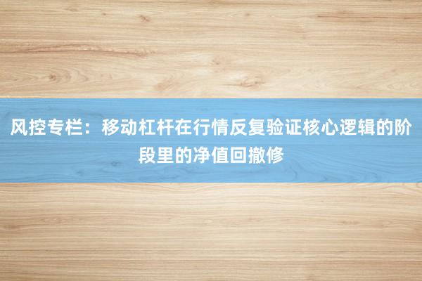 风控专栏：移动杠杆在行情反复验证核心逻辑的阶段里的净值回撤修