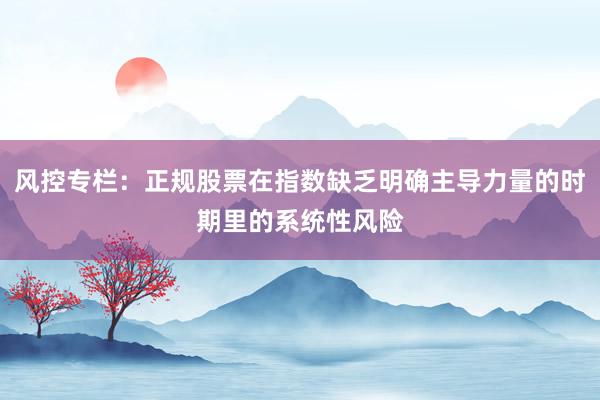 风控专栏：正规股票在指数缺乏明确主导力量的时期里的系统性风险