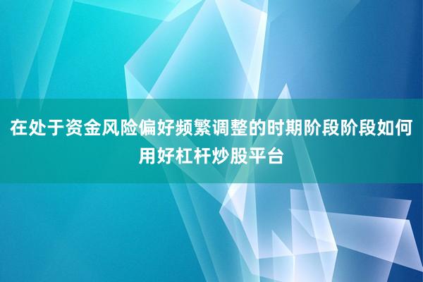在处于资金风险偏好频繁调整的时期阶段阶段如何用好杠杆炒股平台