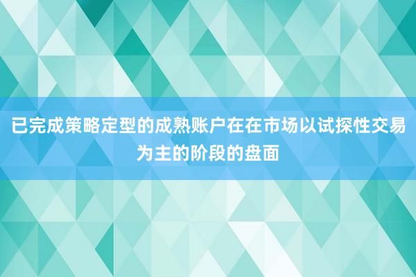 已完成策略定型的成熟账户在在市场以试探性交易为主的阶段的盘面