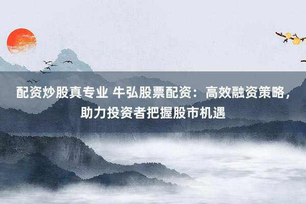 配资炒股真专业 牛弘股票配资：高效融资策略，助力投资者把握股市机遇