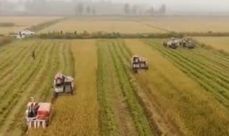 农业科技成就 旱涝保收 机器换人