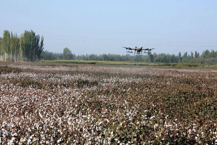 新疆阿瓦提县推进农业机械化提升耕种收效率